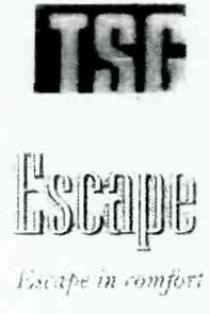 Tsg Escape Device mark 2556374 Trademark