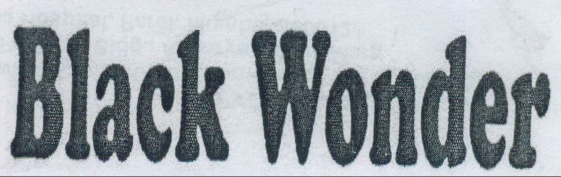 Black Wonder Device mark 2053988 Trademark
