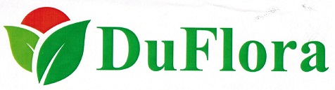 Duflora Device mark 2869022 Trademark