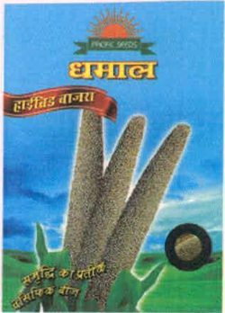 Dhamal With Device Of Sun And Bajra Device mark 2558090 Trademark