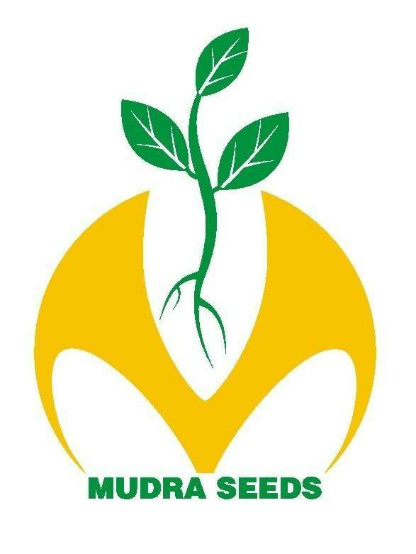 Mudra Seeds Device mark 2085495 Trademark