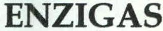 Enzigas Device mark 2388587 Trademark