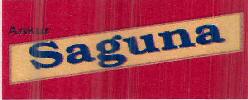 Ankur Saguna Device mark 2404156 Trademark