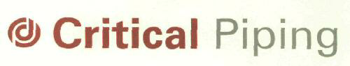 D Critical Piping (device) Device mark 2556955 Trademark