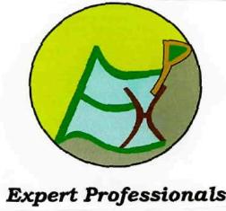Expert Professionals, Exp (monogram) Device mark 2851134 Trademark