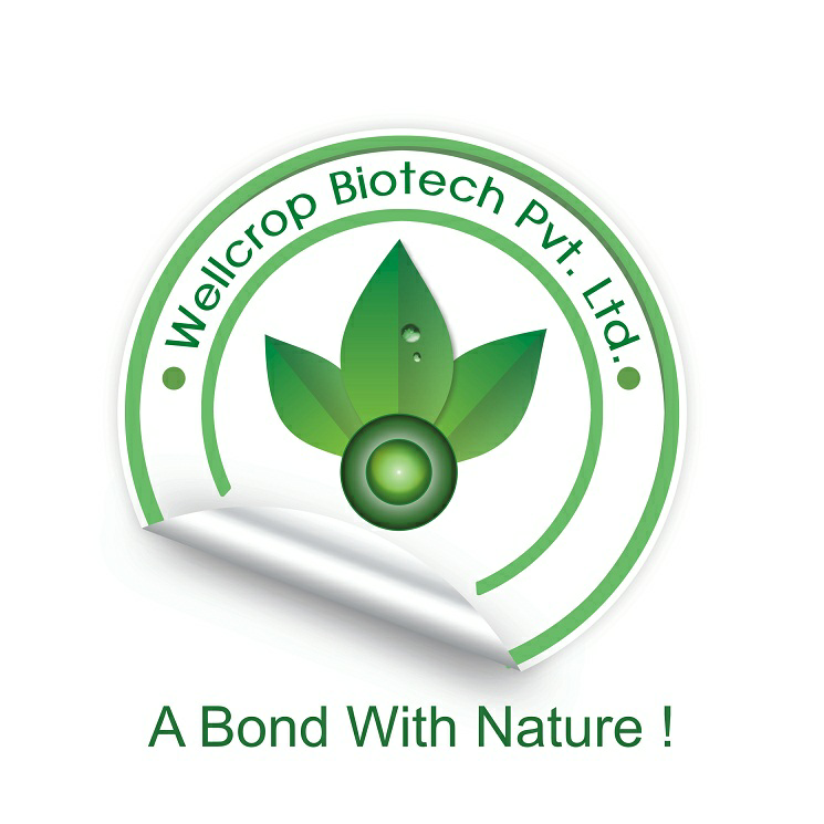 Wellcrop Biotech Device mark 2964615 Trademark