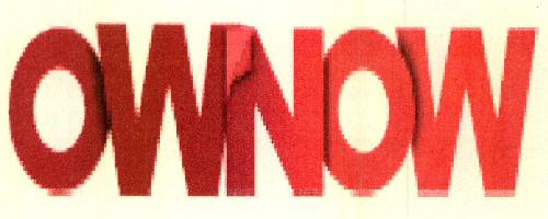 Ownow Device mark 2901296 Trademark