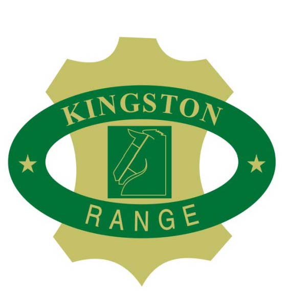 Kingston Range Device mark 2479498 Trademark