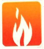 Device Of Flame Device mark 2931402 Trademark
