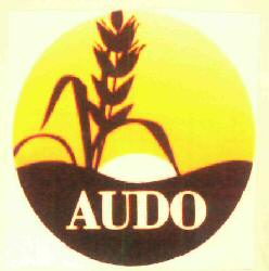 Audo Device mark 2947048 Trademark