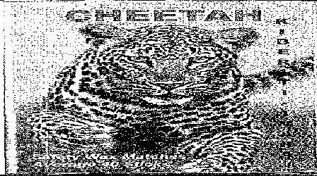 Cheetah Device mark 2032324 Trademark