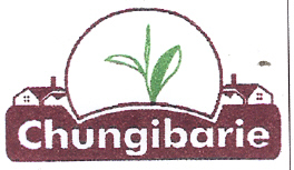 Chungibarie Device mark 2228996 Trademark