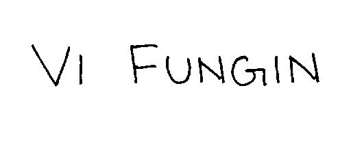 Vi Fungin (logo) Device mark 2263536 Trademark