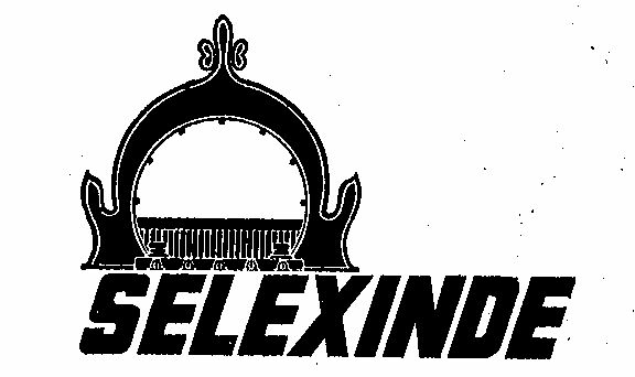 Selexinde Device mark 231126 Trademark