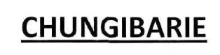 Chungibarie Device mark 2891814 Trademark