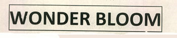 Wonder Bloom Device mark 2301442 Trademark