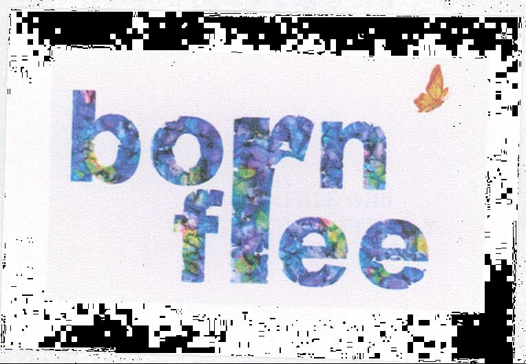 Bornfree Device mark 2071801 Trademark