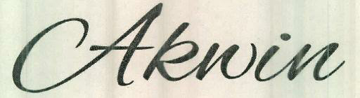 Akwin Device mark 2422207 Trademark