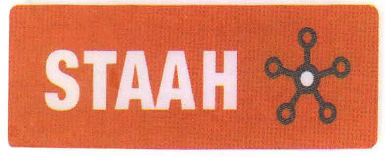 Staah (device) Device mark 2206565 Trademark