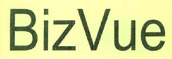 Bizvue Device mark 2734320 Trademark