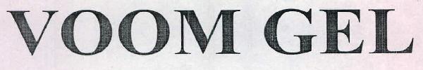 Voom Gel Device mark 2486231 Trademark