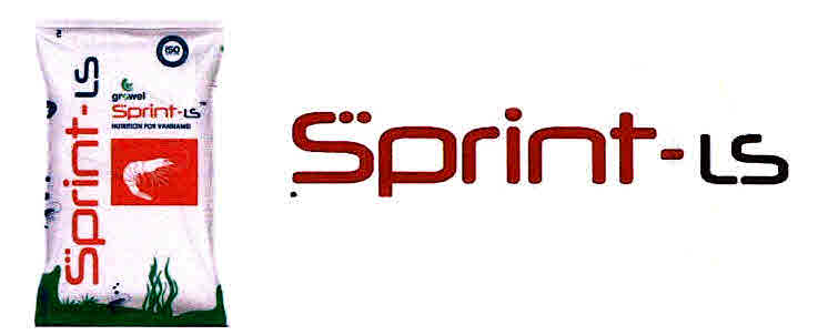 Sprint-ls Device mark 2965609 Trademark