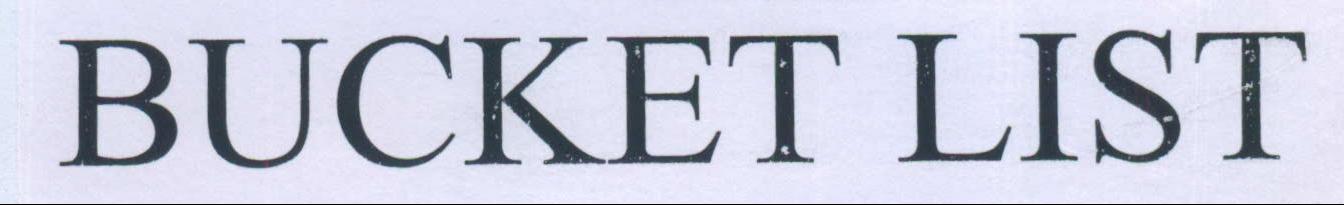 Bucket List Device mark 2174299 Trademark