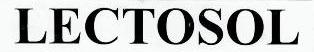 Lectosol Device mark 2435168 Trademark
