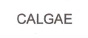 Calgae Device mark 2017037 Trademark