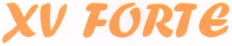 Xv Forte Device mark 2810907 Trademark