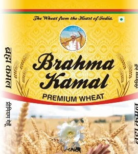 Brahma Kamal Device mark 2686897 Trademark