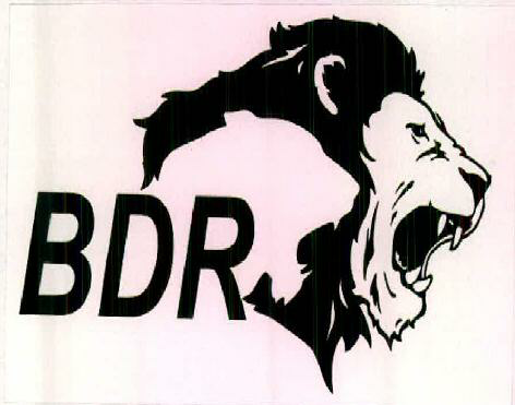 Bdr (device Of Lion) Device mark 2491473 Trademark