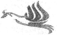 Device Of Flying Bird Device mark 2494545 Trademark