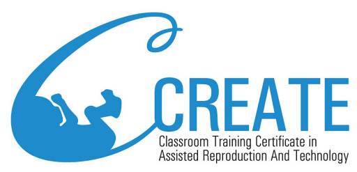 Ccreate (composite Label) Device mark 2795295 Trademark