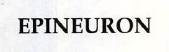 Epineuron Device mark 2240845 Trademark