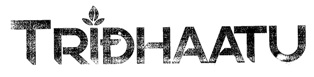 Tridhaatu Device mark 2934763 Trademark