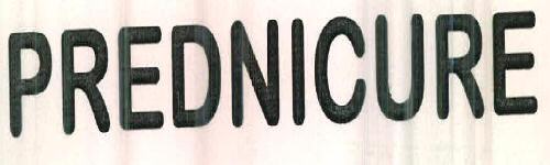 Prednicure Device mark 2473116 Trademark
