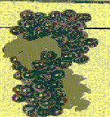 Device Of Grapes Device mark 1309059 Trademark