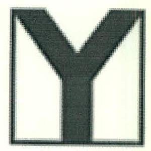 Y Device mark 2919023 Trademark
