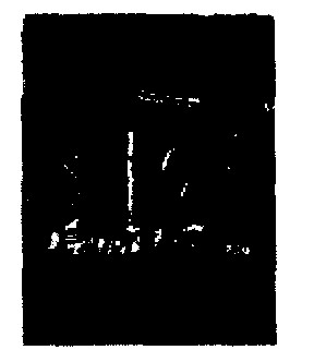 Vi Team Mecca Usa Device mark 851431 Trademark