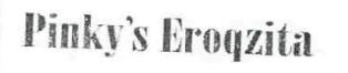 Pinky's Eroqzita Device mark 2626299 Trademark