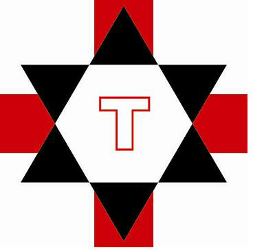 T With Logo Device mark 2949993 Trademark