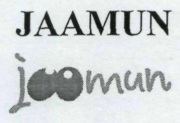 Jaamun Device mark 1923397 Trademark