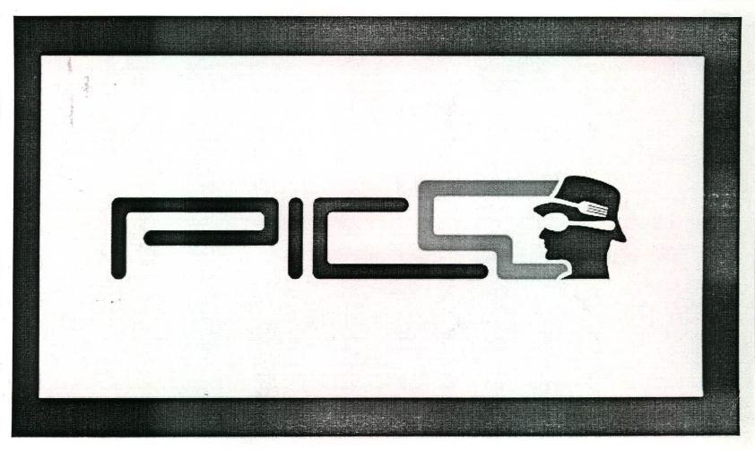 Pico Device mark 2234461 Trademark