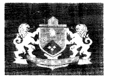 Logo Device mark 672057 Trademark