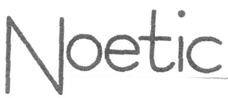 Noetic Device mark 1635293 Trademark