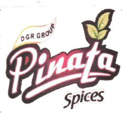 Dgr Group Pinata Spices Device mark 2891069 Trademark