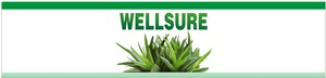 Wellsure Device mark 2706872 Trademark
