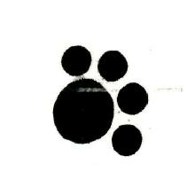 Device Mark Device mark 1216484 Trademark