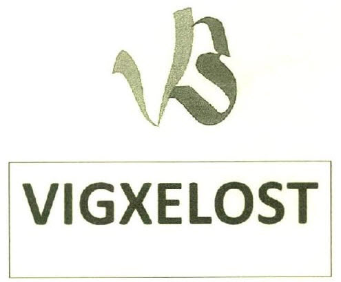 Vigxelost Device mark 2746512 Trademark